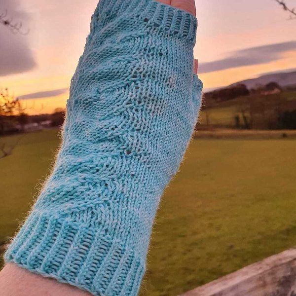 Cailleach knit her size M1 mitt in Blue Fern Yarns Platinum Sock